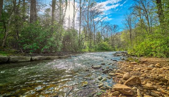 Mills River