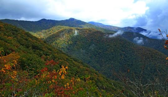 Sylva